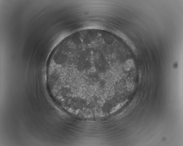 X0000116481274201001201335