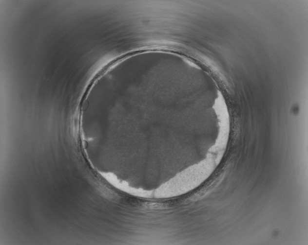 X0000116481275201001201335