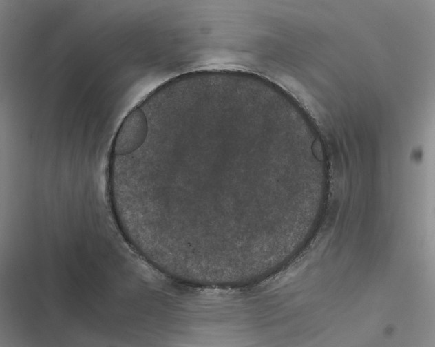 X0000116481277201001201335