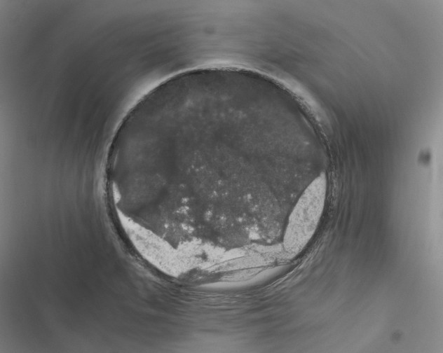 X0000116481279201001201334