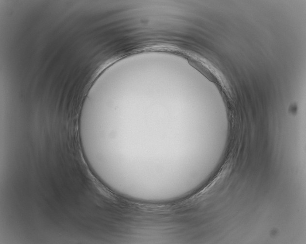 X0000116481281201001201334