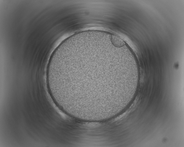 X0000116481282201001201334