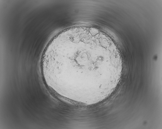 X0000116481283201001201334