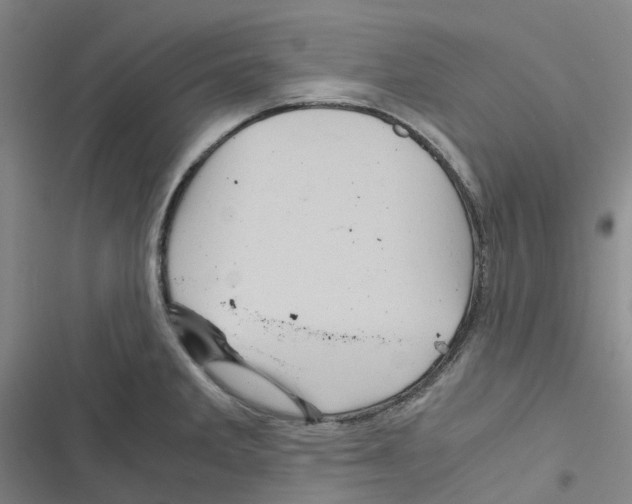 X0000116481285201001201334