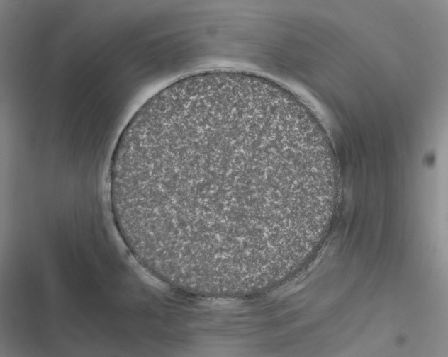 X0000116481287201001201334