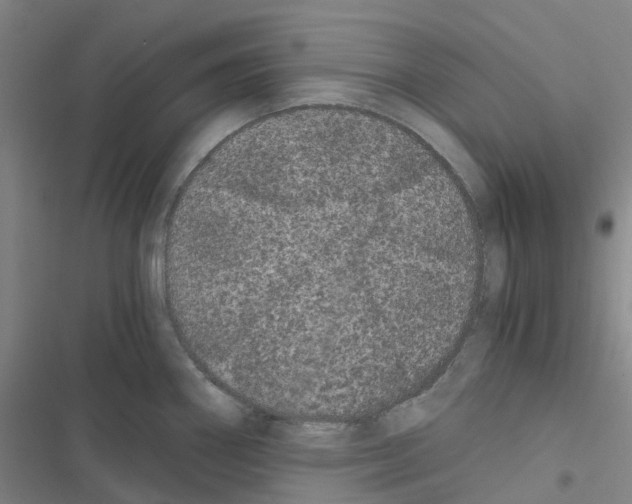 X0000116481290201001201334