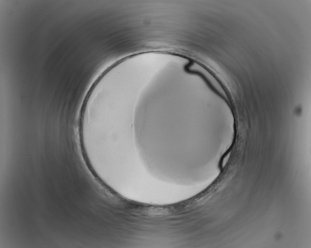 X0000116481291201001201334