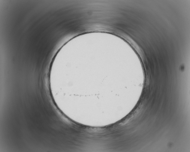 X0000116481293201001201334