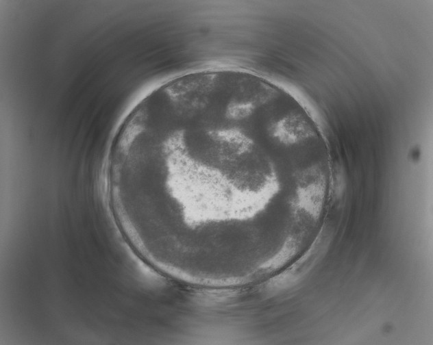 X0000116481294201001201334