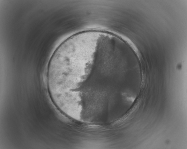 X0000116481295201001201334