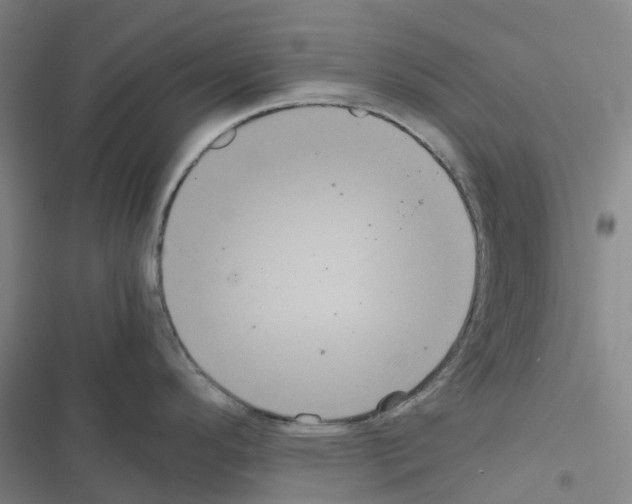 X0000116481296201001201334