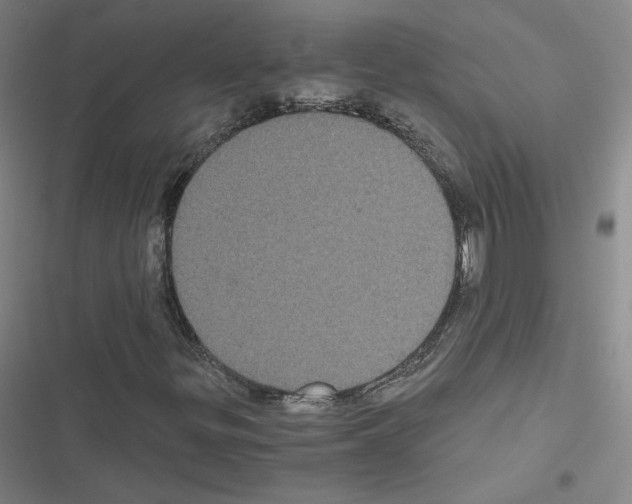 X0000116481299201001201334