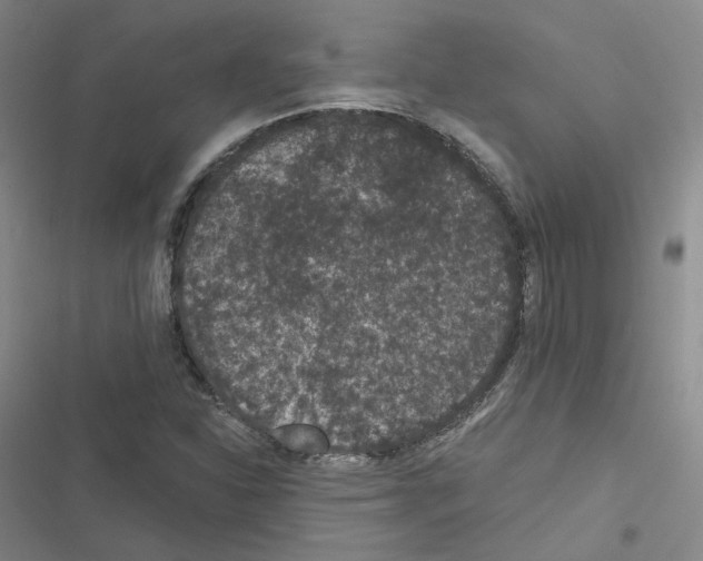 X0000116481310201001201334