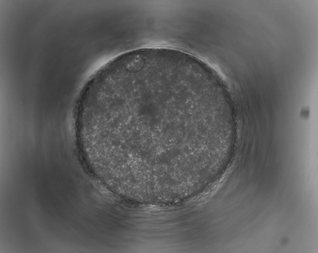 X0000116481311201001201334