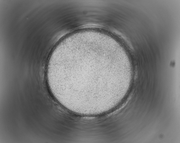 X0000116481313201001201334