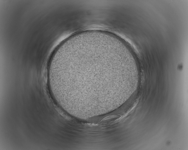 X0000116481317201001201334