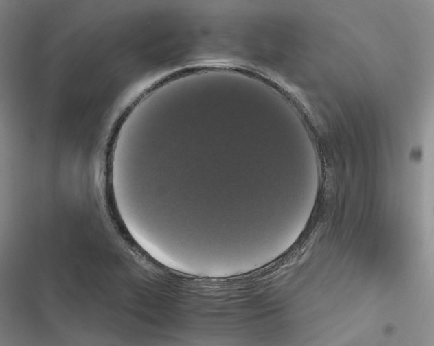 X0000116481319201001201334