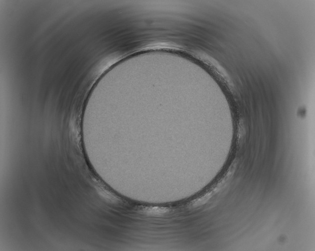 X0000116481321201001201334