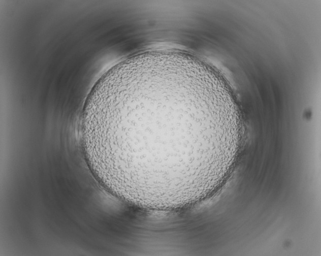 X0000116481322201001201334