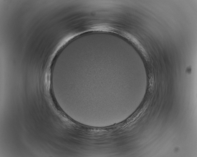 X0000116481323201001201334