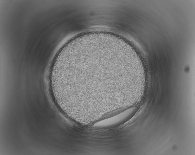 X0000116481325201001201334