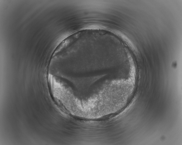 X0000116481329201001201334