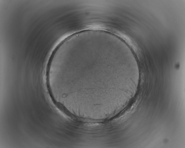 X0000116481331201001201334