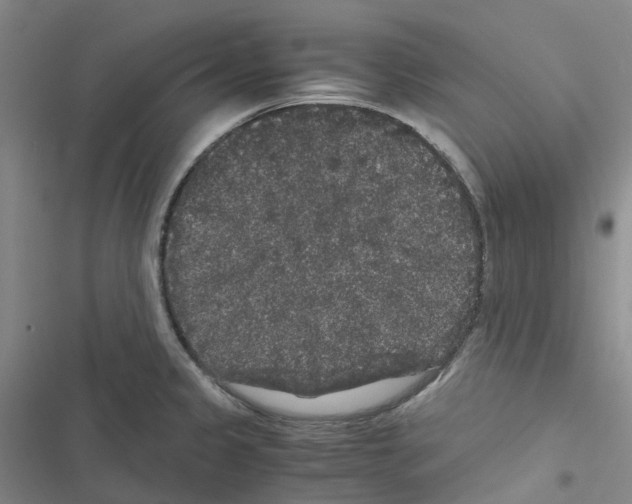 X0000116481333201001201334