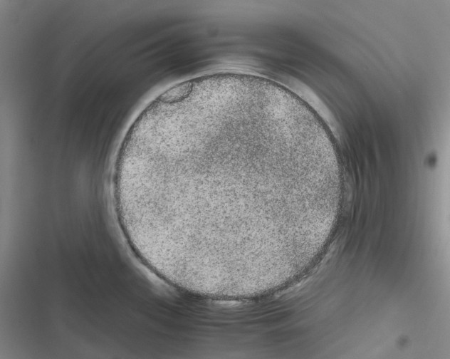 X0000116481339201001201334