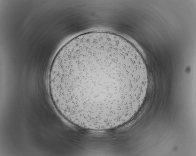 X0000116481343201001201334