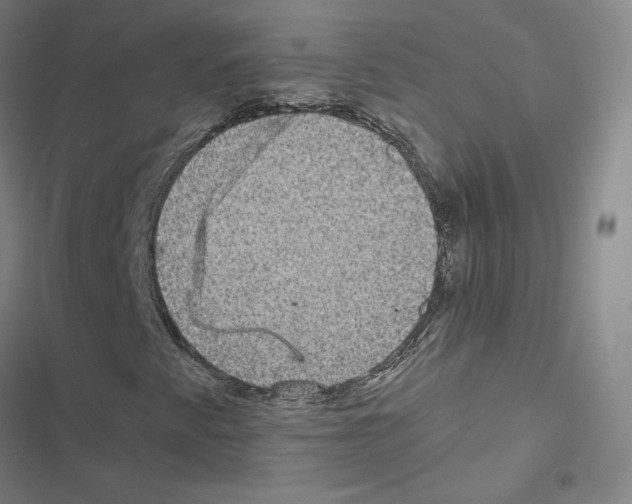 X0000116481345201001201334