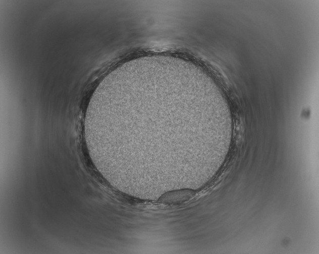 X0000116481349201001201334