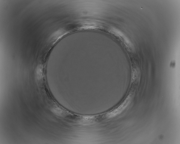 X0000116481353201001201333