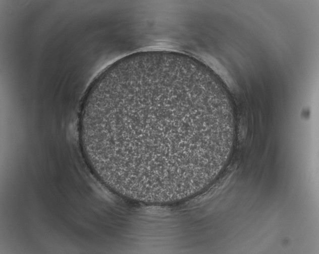 X0000116481356201001201333