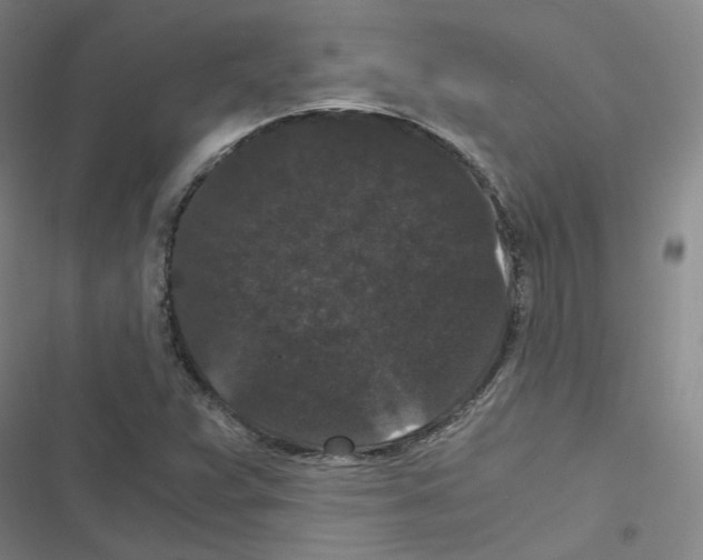 X0000116481359201001201333