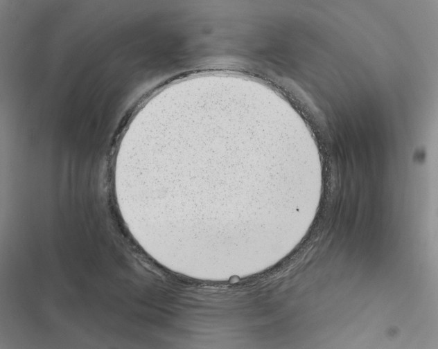 X0000116481364201001201333