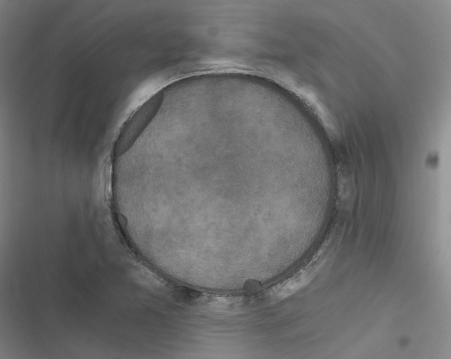 X0000116481365201001201333