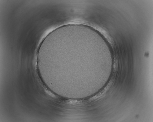 X0000116481366201001201333