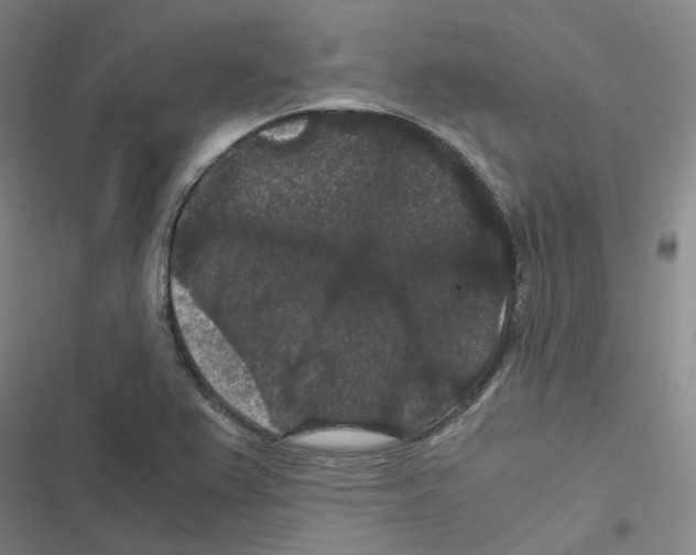 X0000116481367201001201333