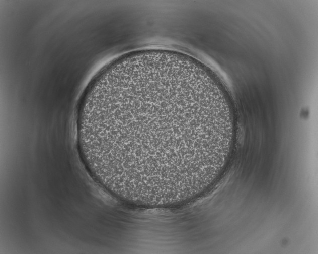 X0000116481368201001201333