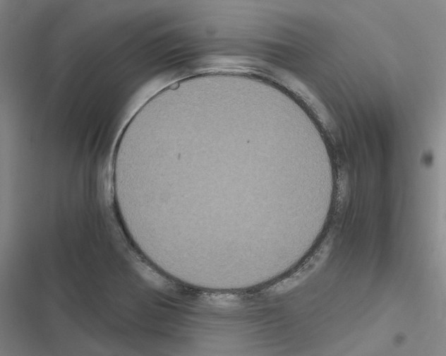 X0000116481370201001201333