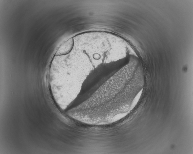 X0000116481371201001201333