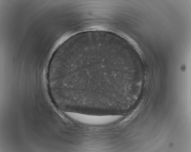 X0000116481373201001201333