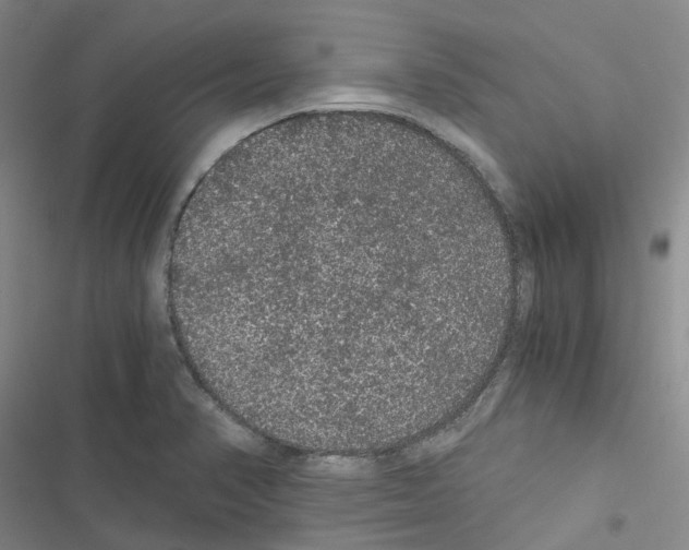 X0000116481374201001201333