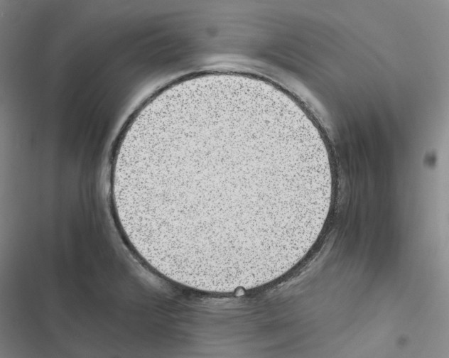 X0000116481376201001201333