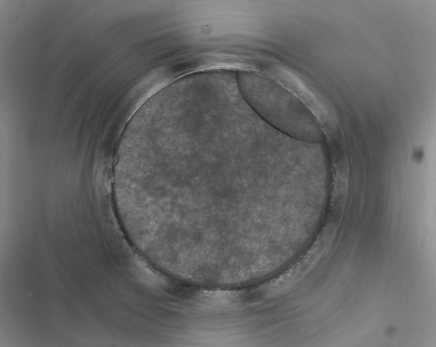 X0000116481377201001201333