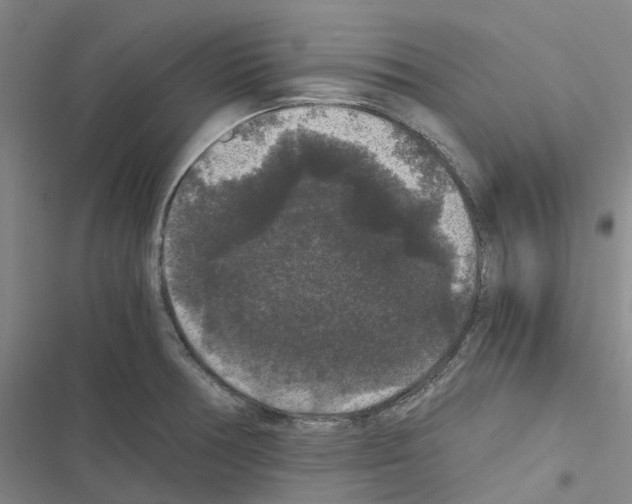 X0000116481378201001201333