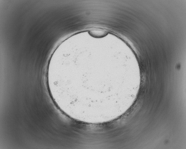 X0000116481379201001201333