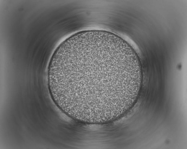 X0000116481380201001201333