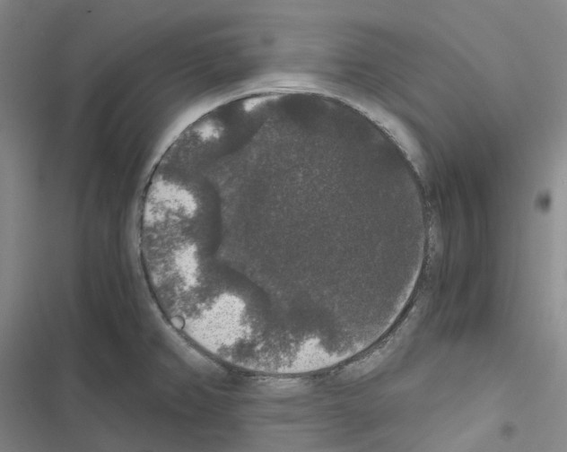 X0000116481382201001201333